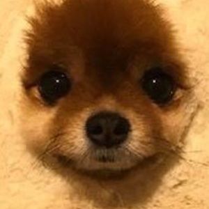 Meet your Posher, Marisela